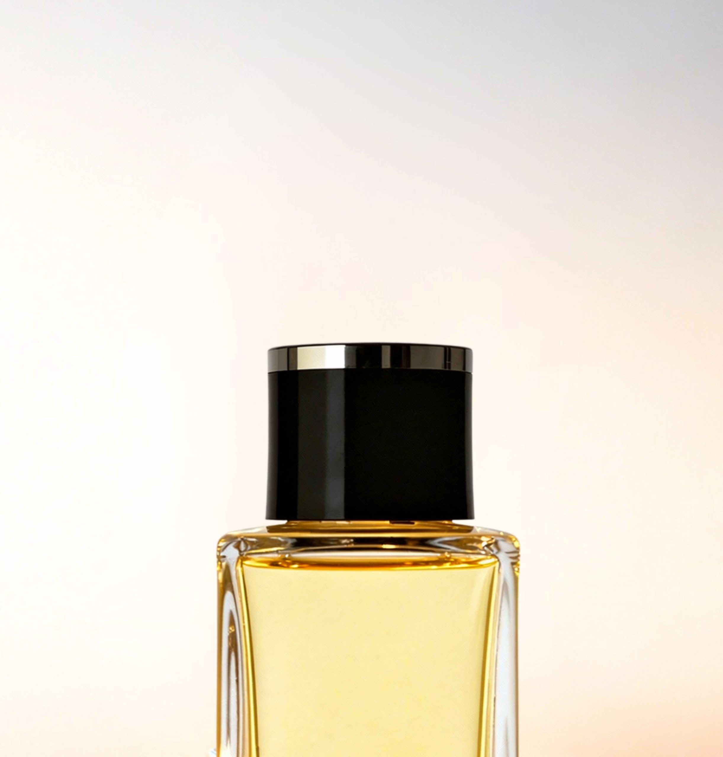 Featured image for “CATALOGUE-CAPS”