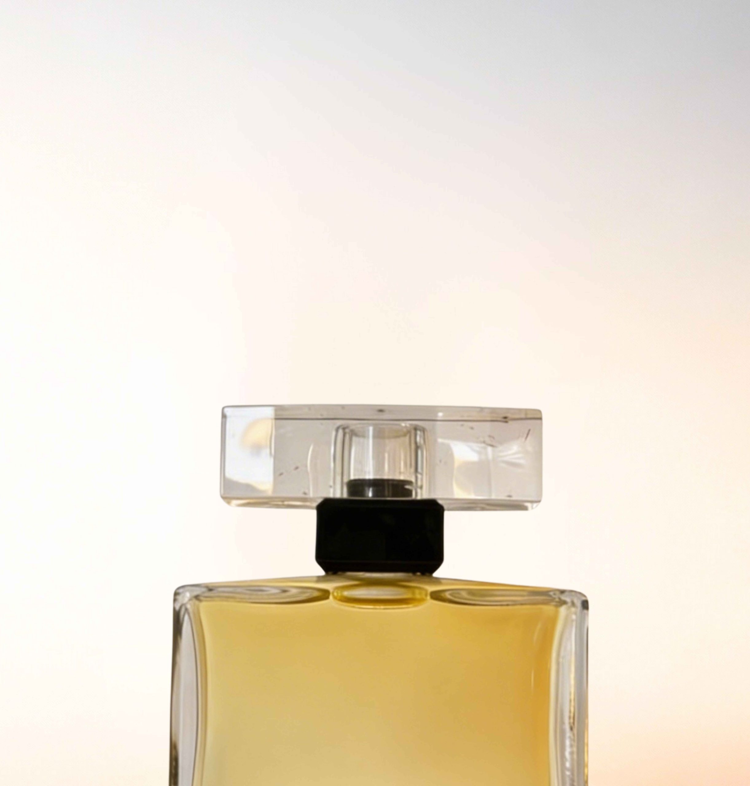 Featured image for “CATALOGUE-CAPS”