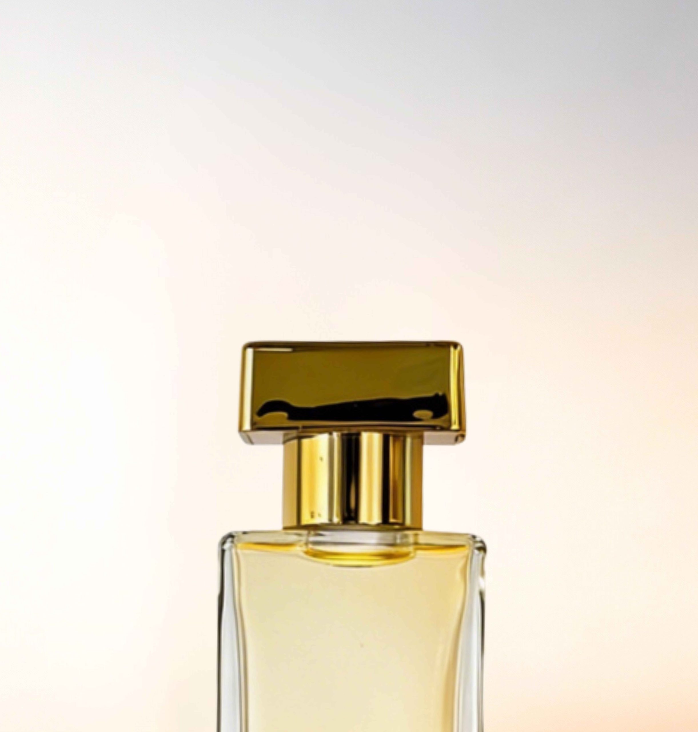 Featured image for “CATALOGUE-CAPS”