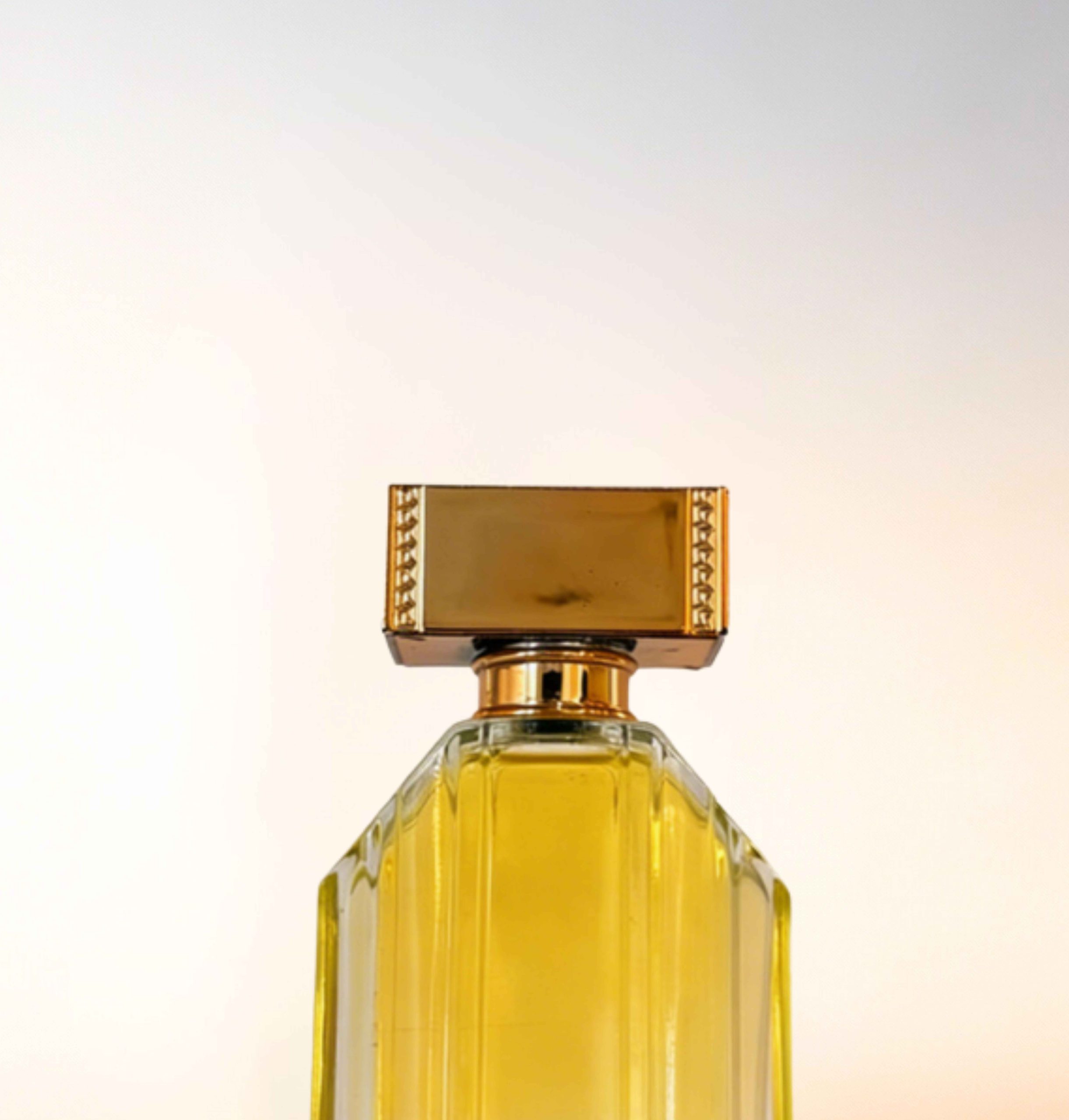 Featured image for “CATALOGUE-CAPS”