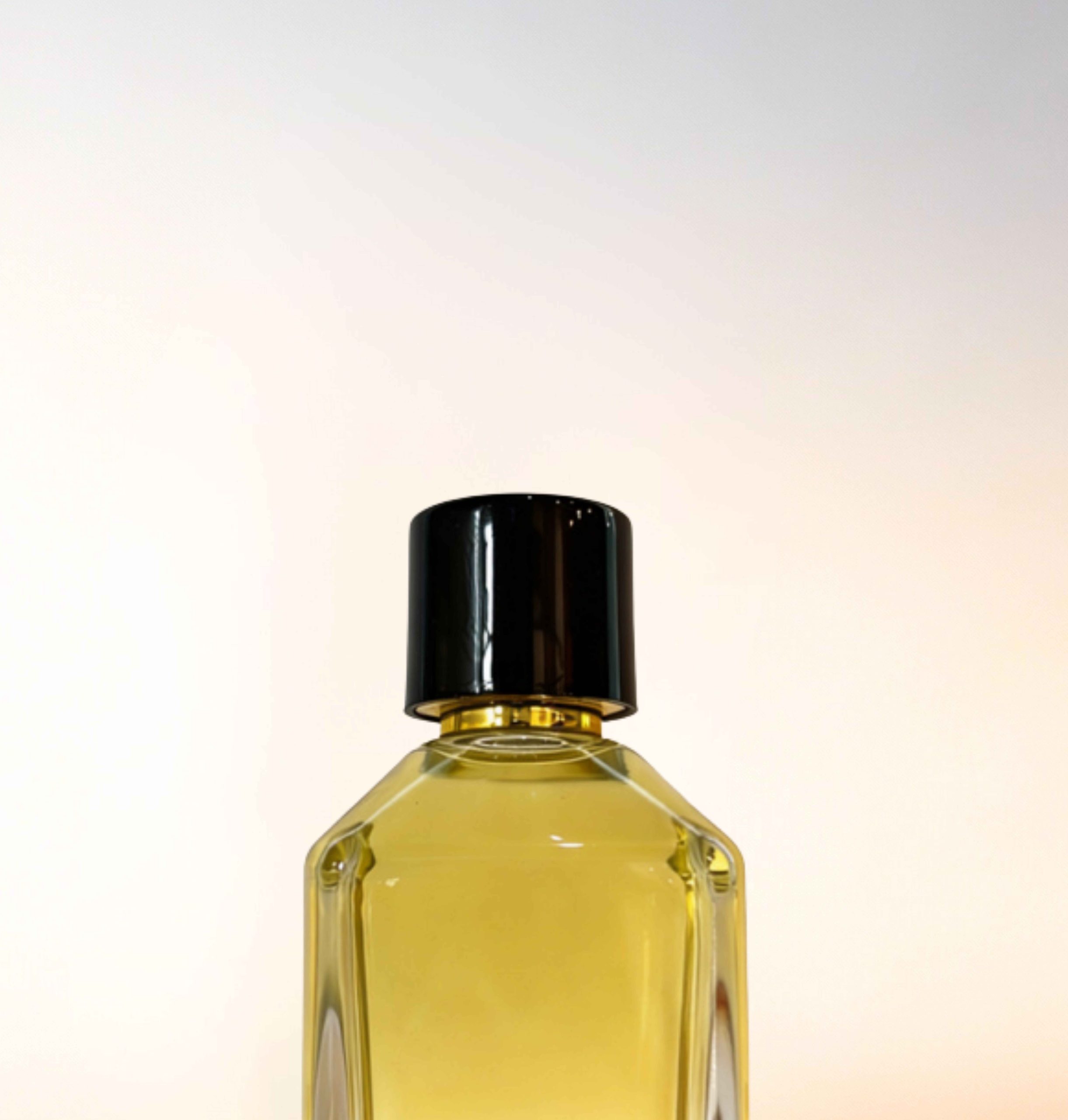Featured image for “CATALOGUE-CAPS”