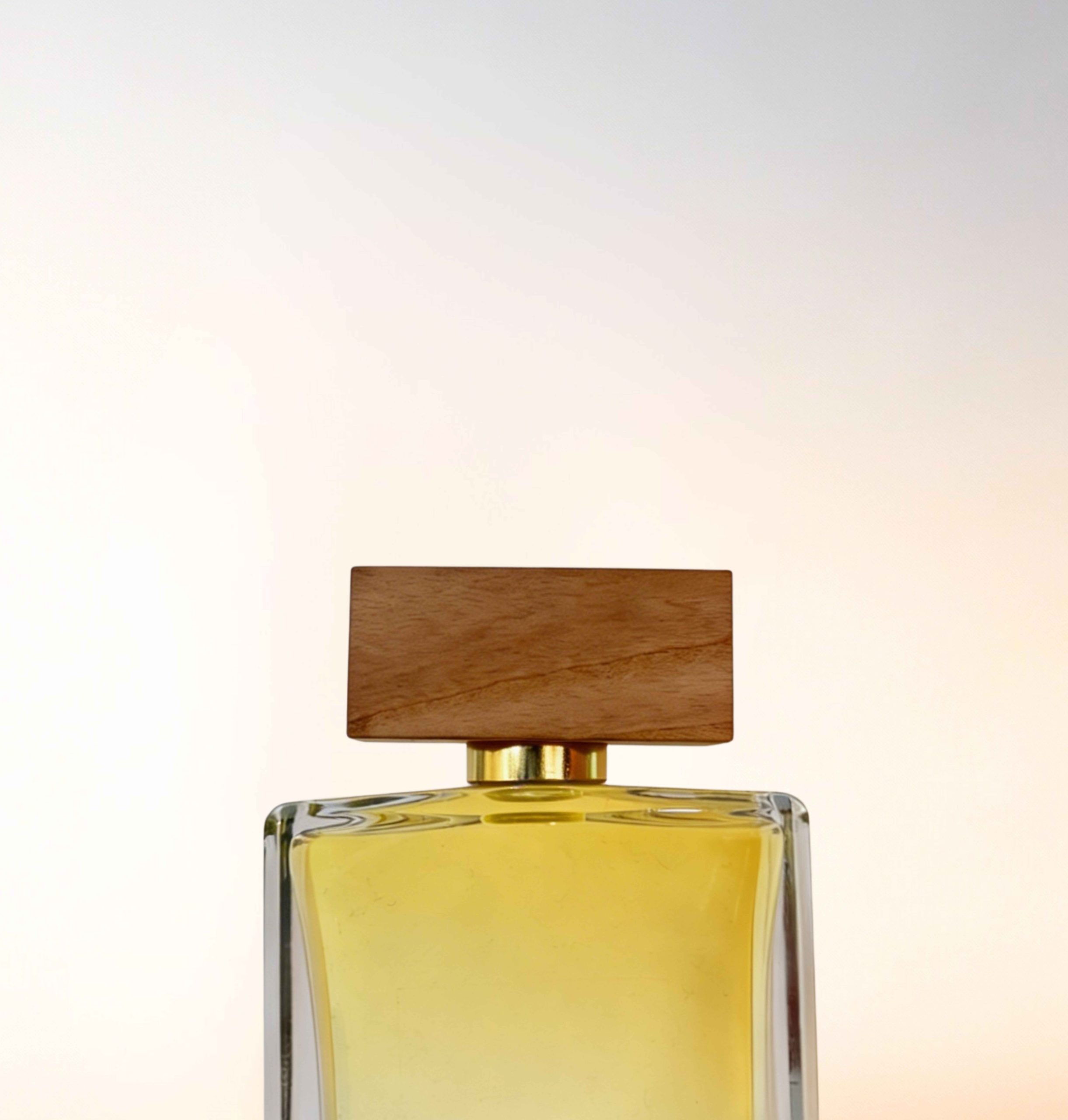 Featured image for “CATALOGUE-CAPS”