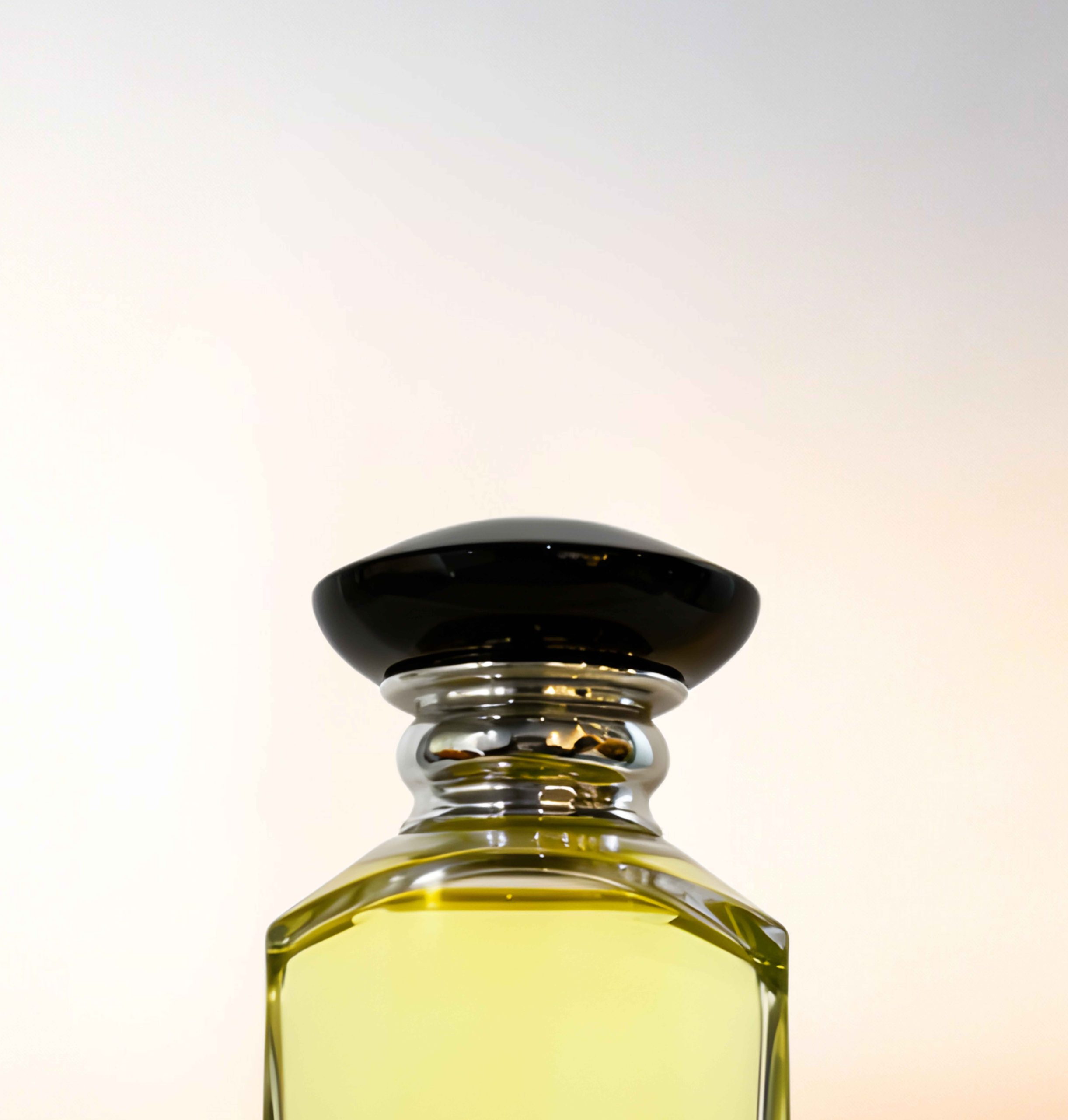 Featured image for “CATALOGUE-CAPS”