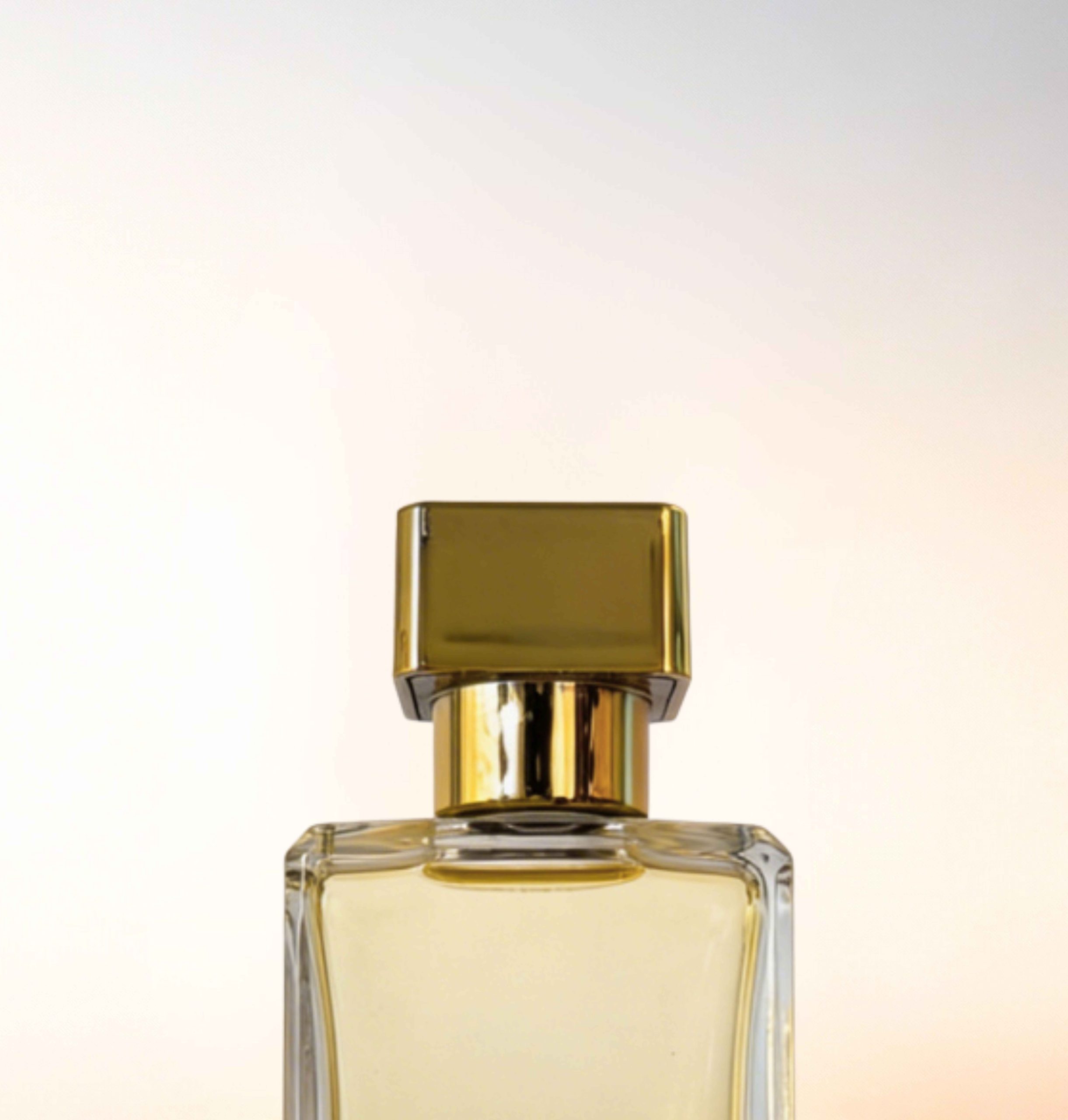 Featured image for “CATALOGUE-CAPS”