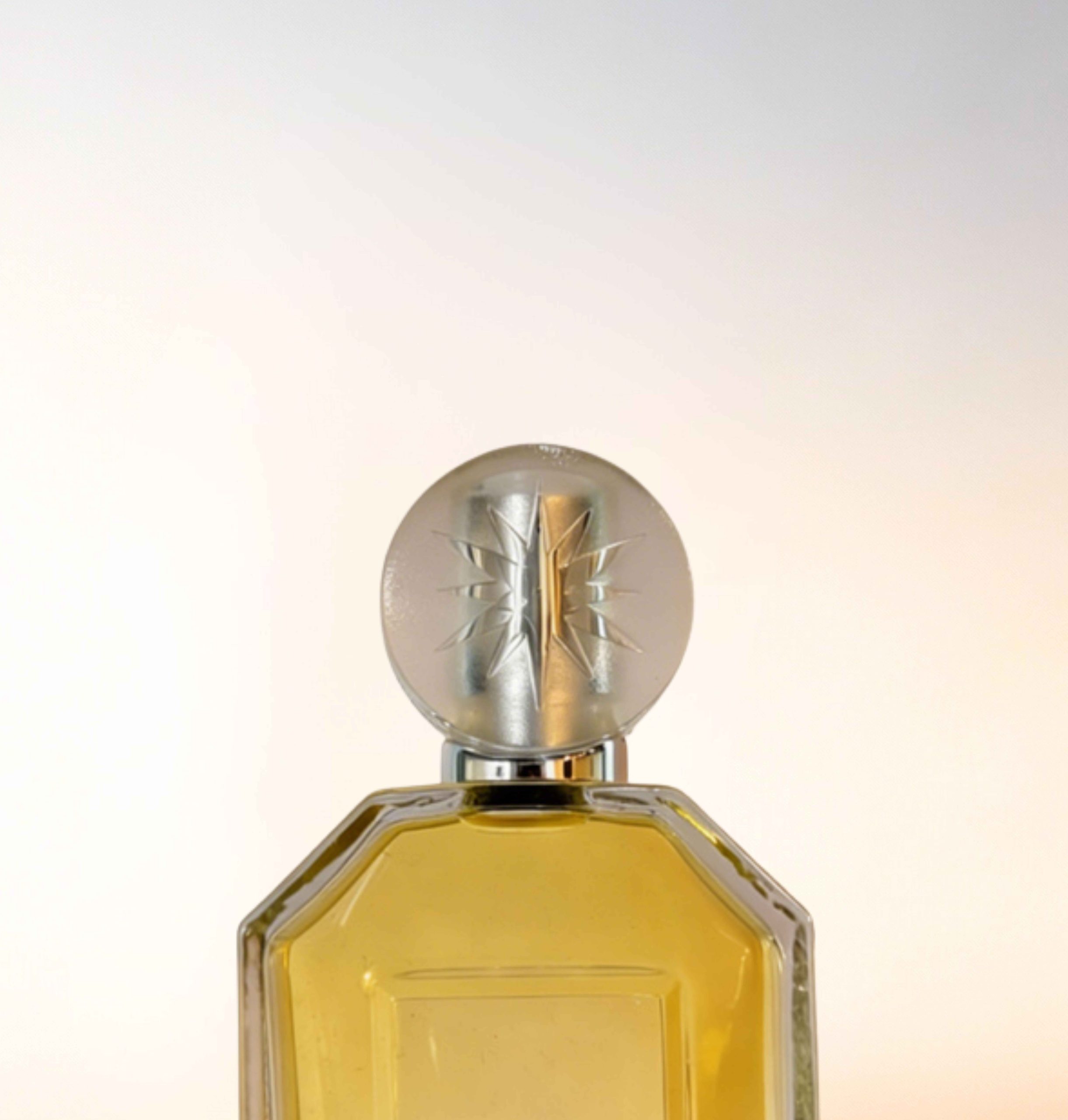 Featured image for “CATALOGUE-CAPS”