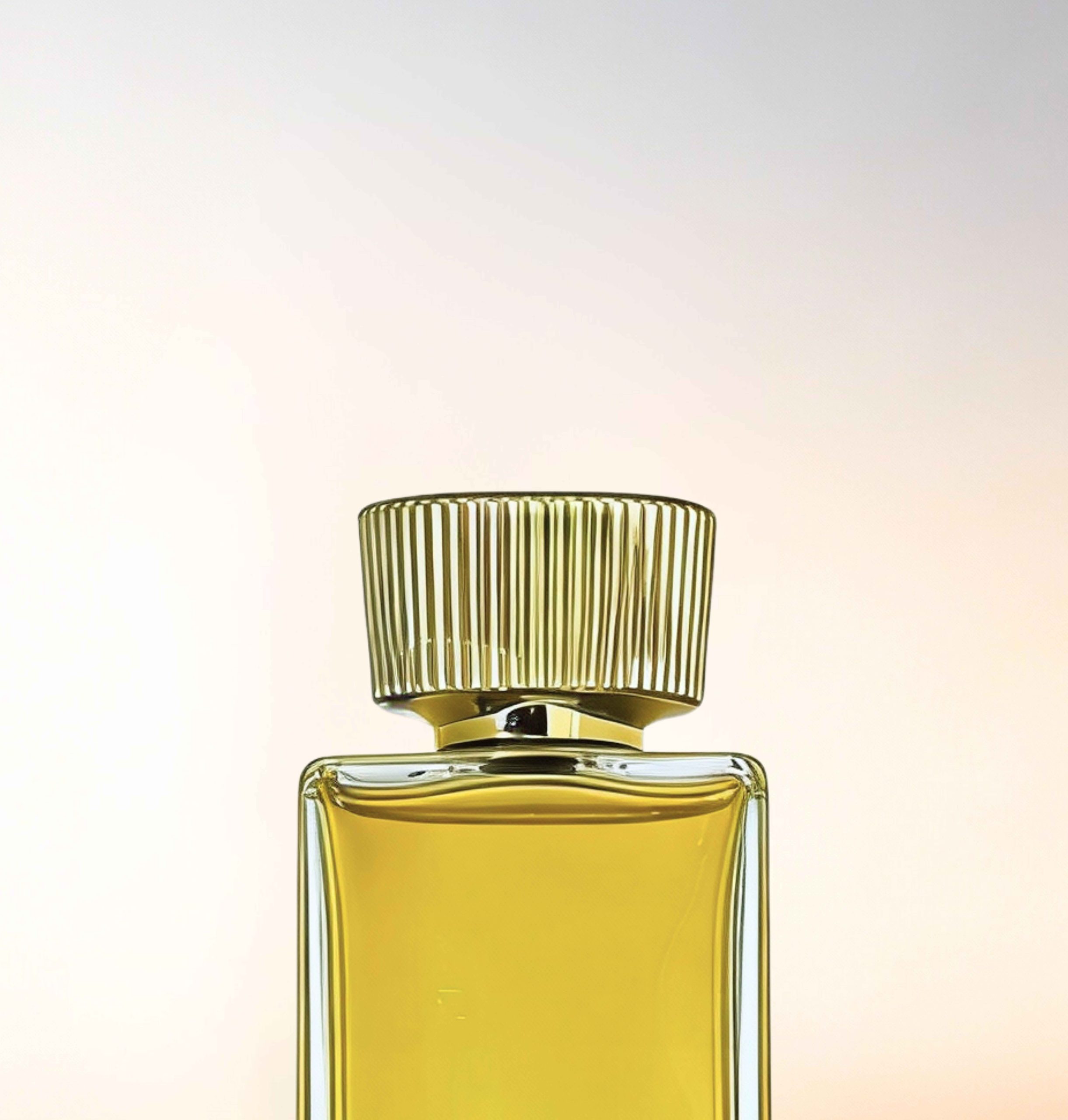 Featured image for “CATALOGUE-CAPS”