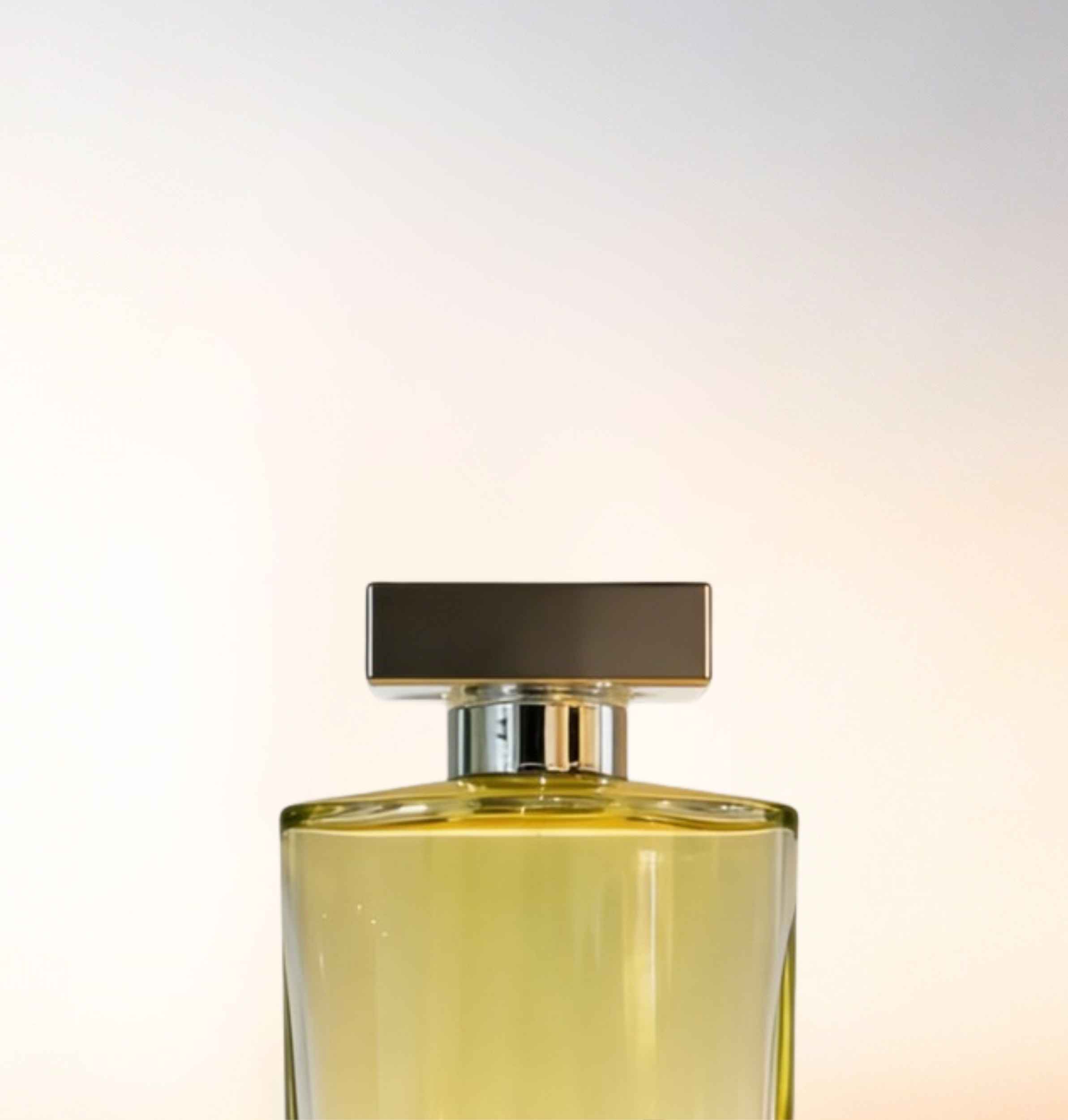 Featured image for “CATALOGUE-CAPS”