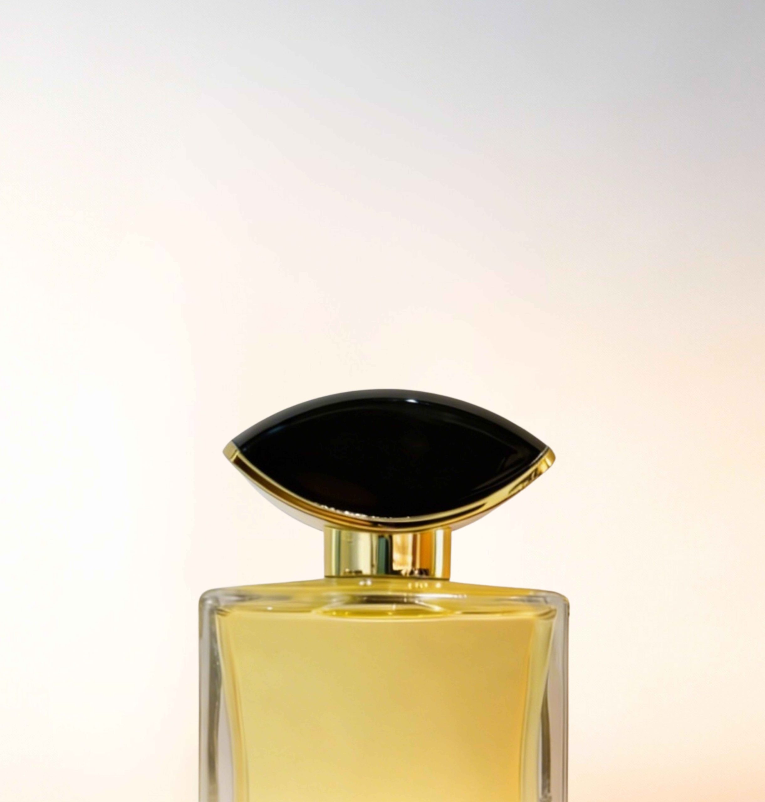 Featured image for “CATALOGUE-CAPS”