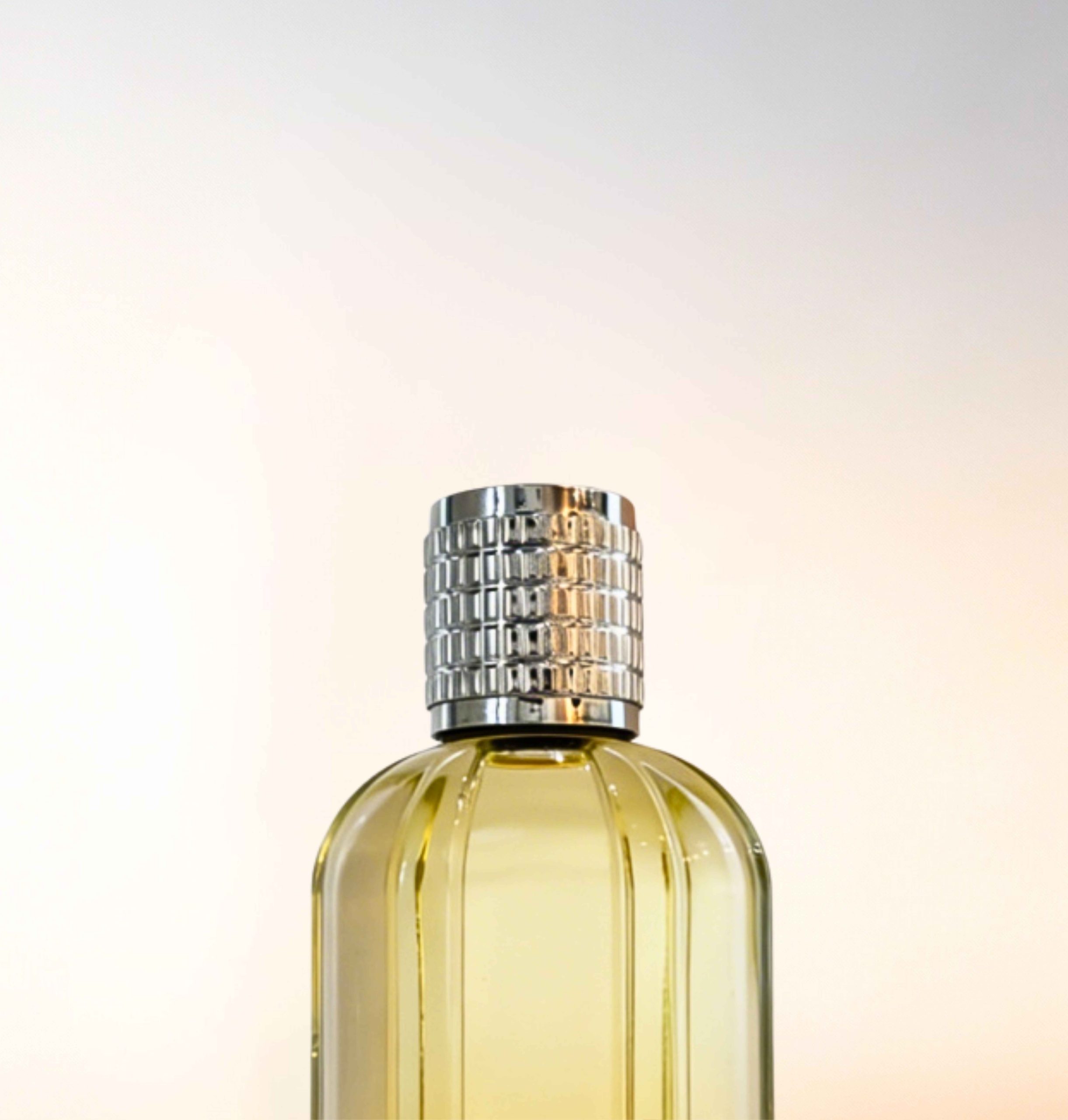 Featured image for “CATALOGUE-CAPS”