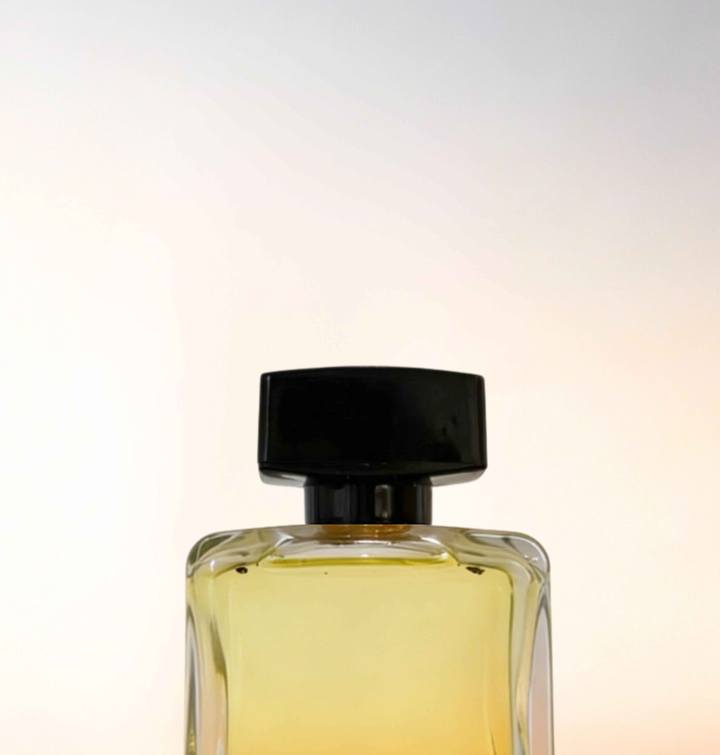 Featured image for “CATALOGUE-CAPS”