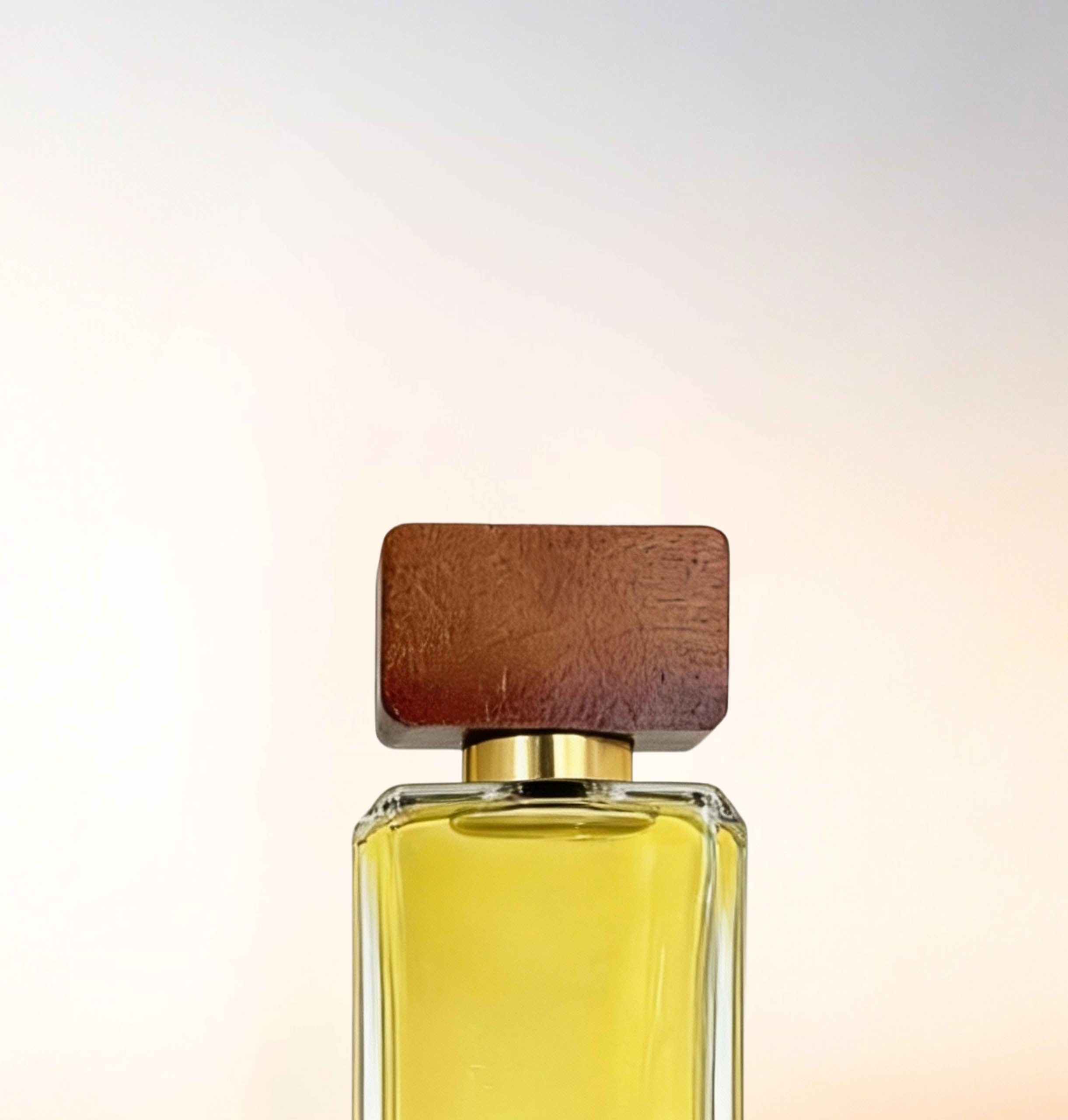 Featured image for “CATALOGUE-CAPS”