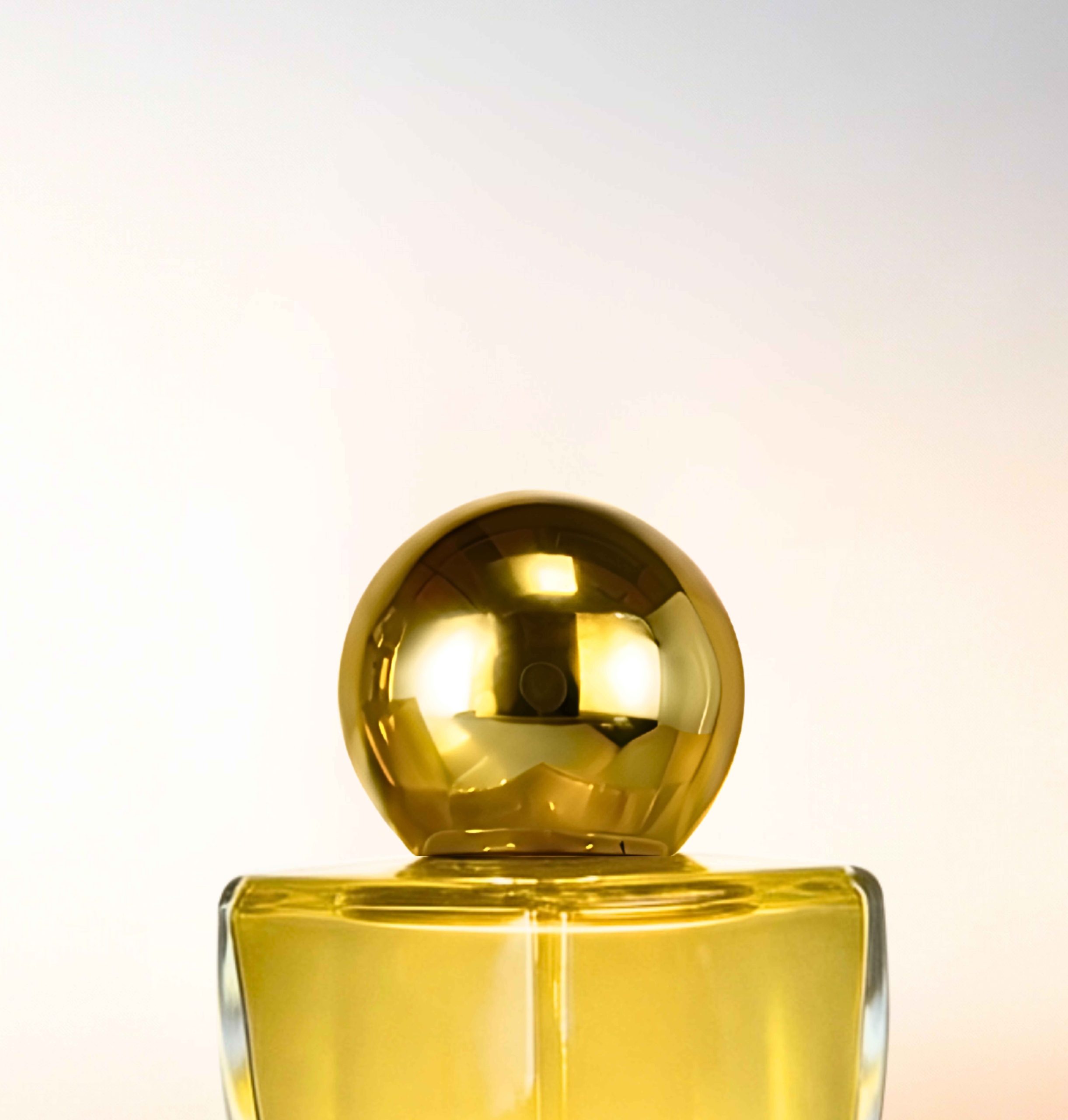 Featured image for “CATALOGUE-CAPS”