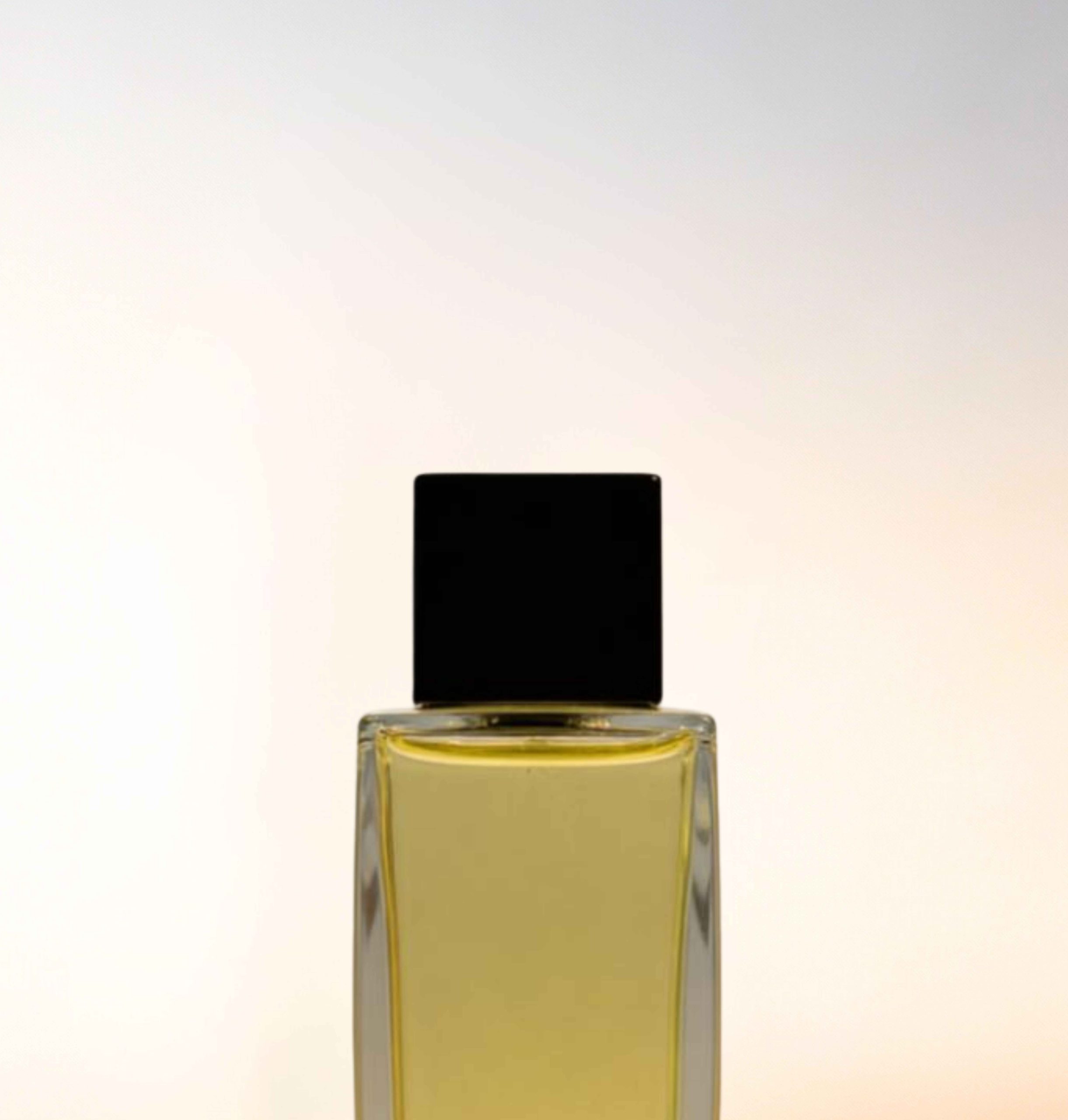 Featured image for “CATALOGUE-CAPS”