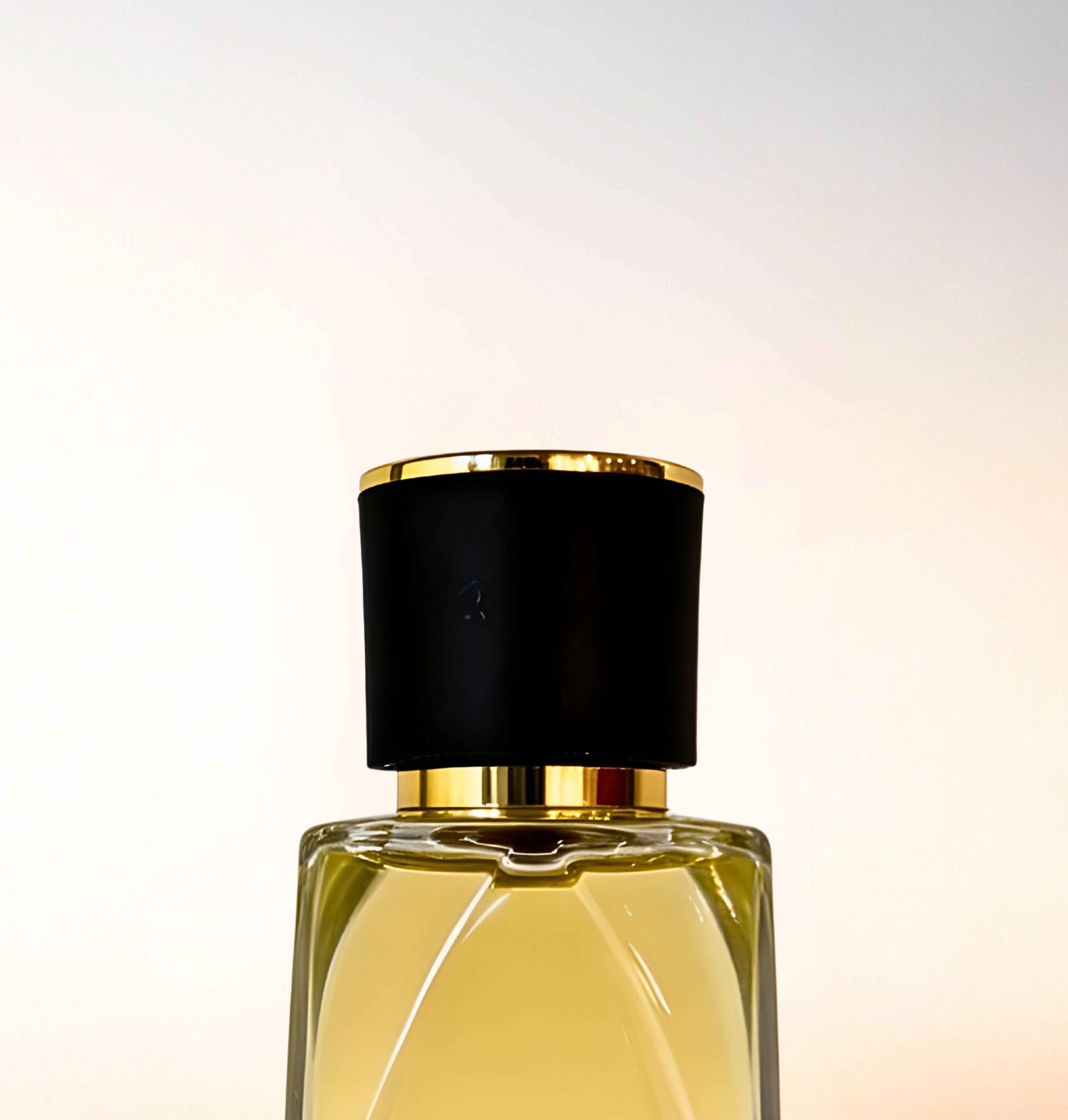 Featured image for “CATALOGUE-CAPS”